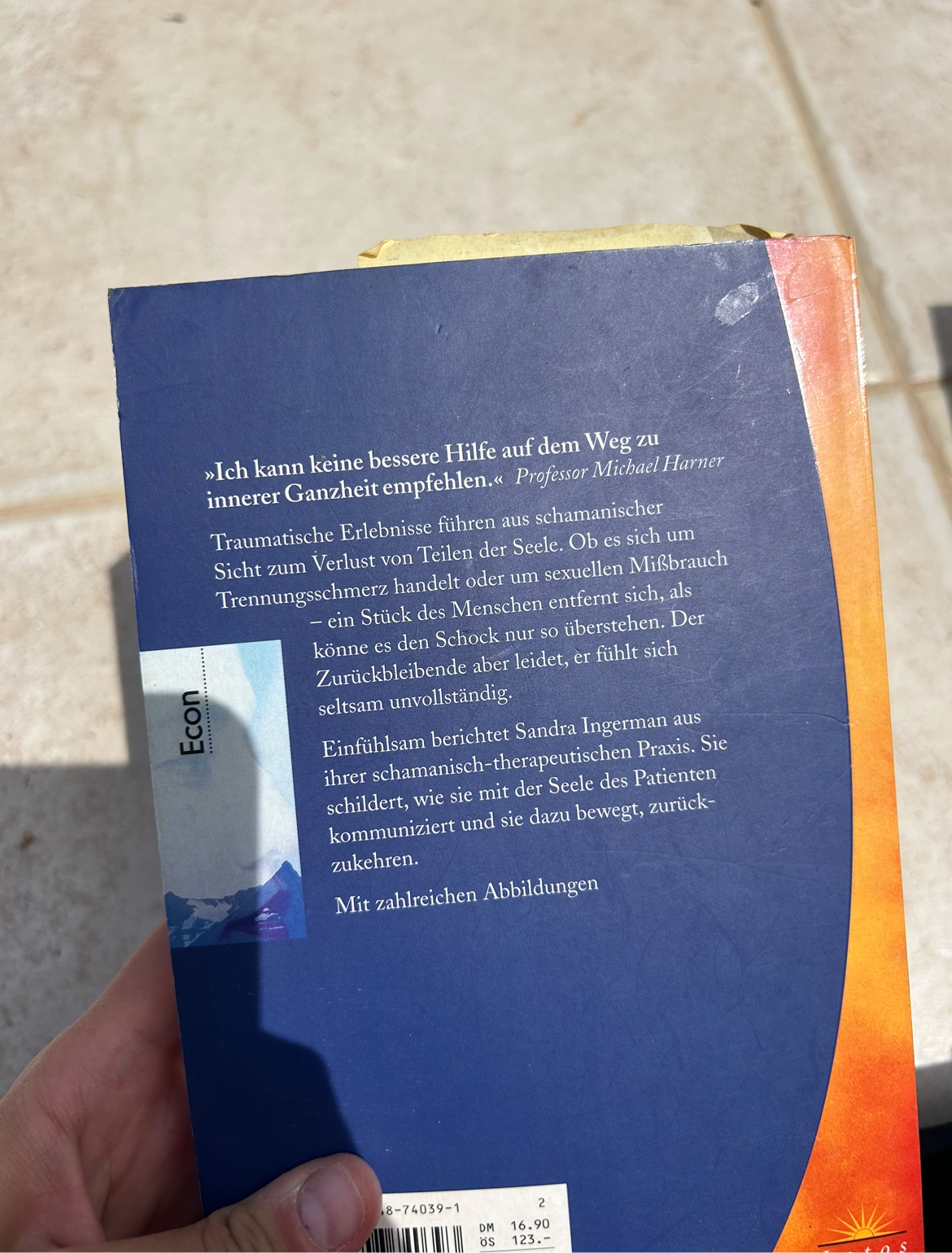 Book „Auf der Suche nach der verlorenen Seele“-Sandra Ingerman